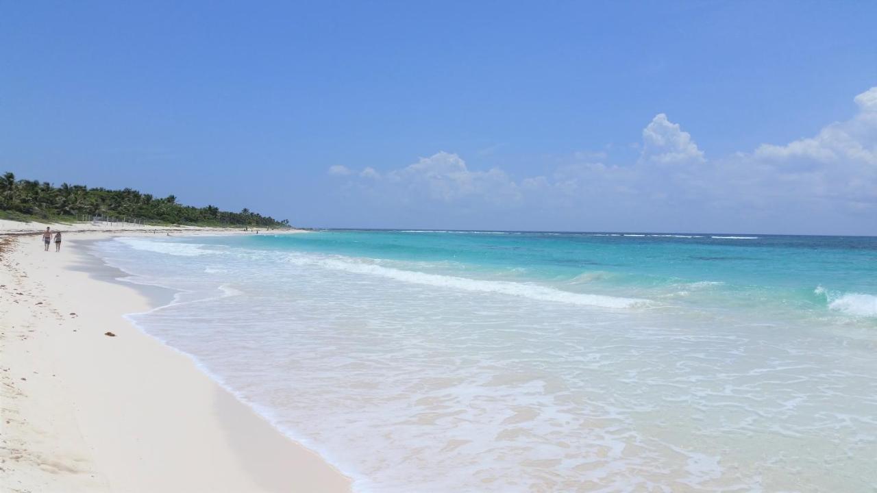 Riviera Maya Luxury Oceanfront Condo 艾库玛尔 外观 照片