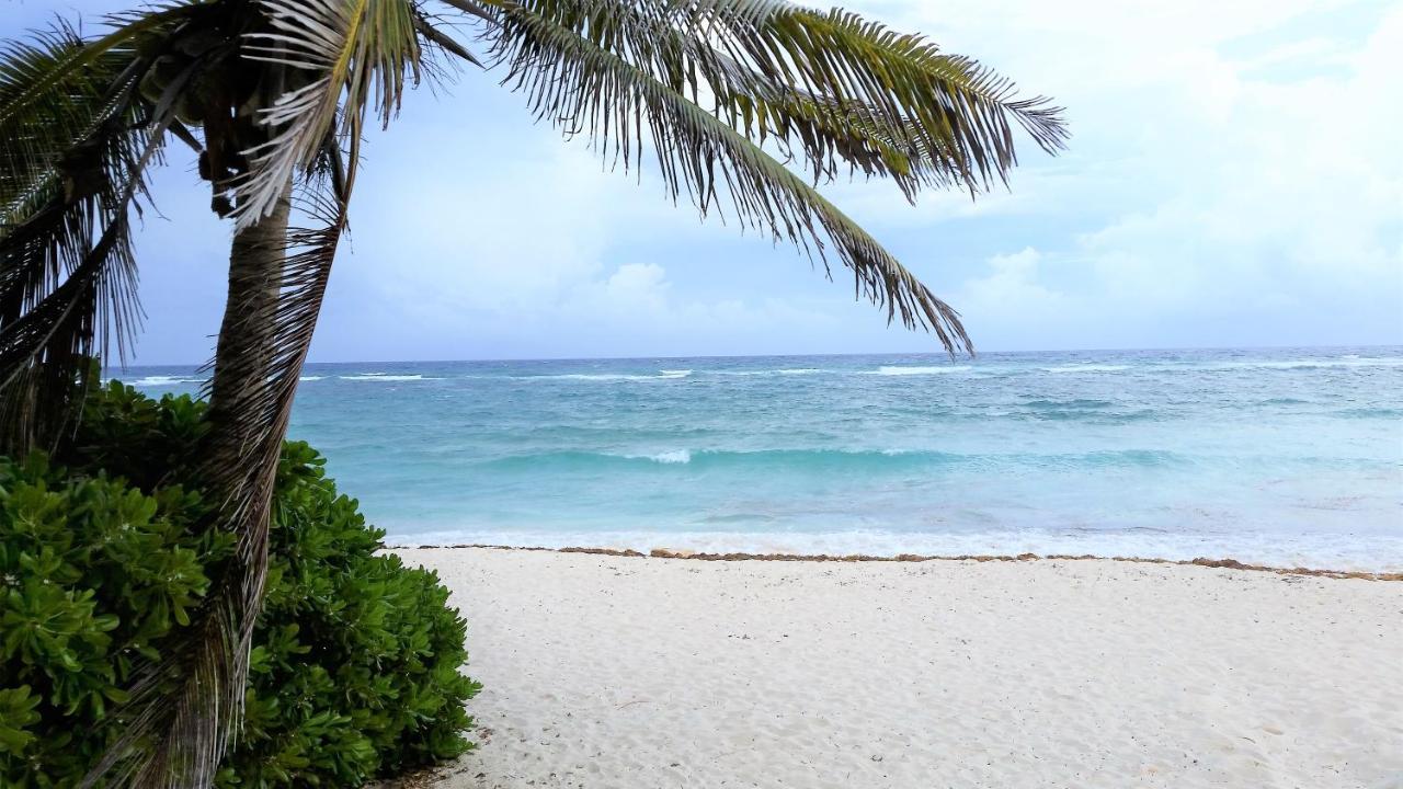 Riviera Maya Luxury Oceanfront Condo 艾库玛尔 外观 照片