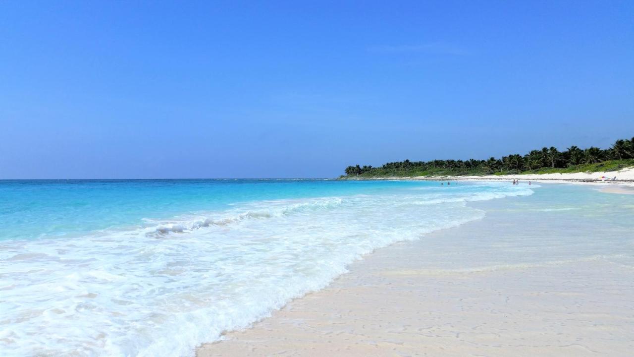 Riviera Maya Luxury Oceanfront Condo 艾库玛尔 外观 照片
