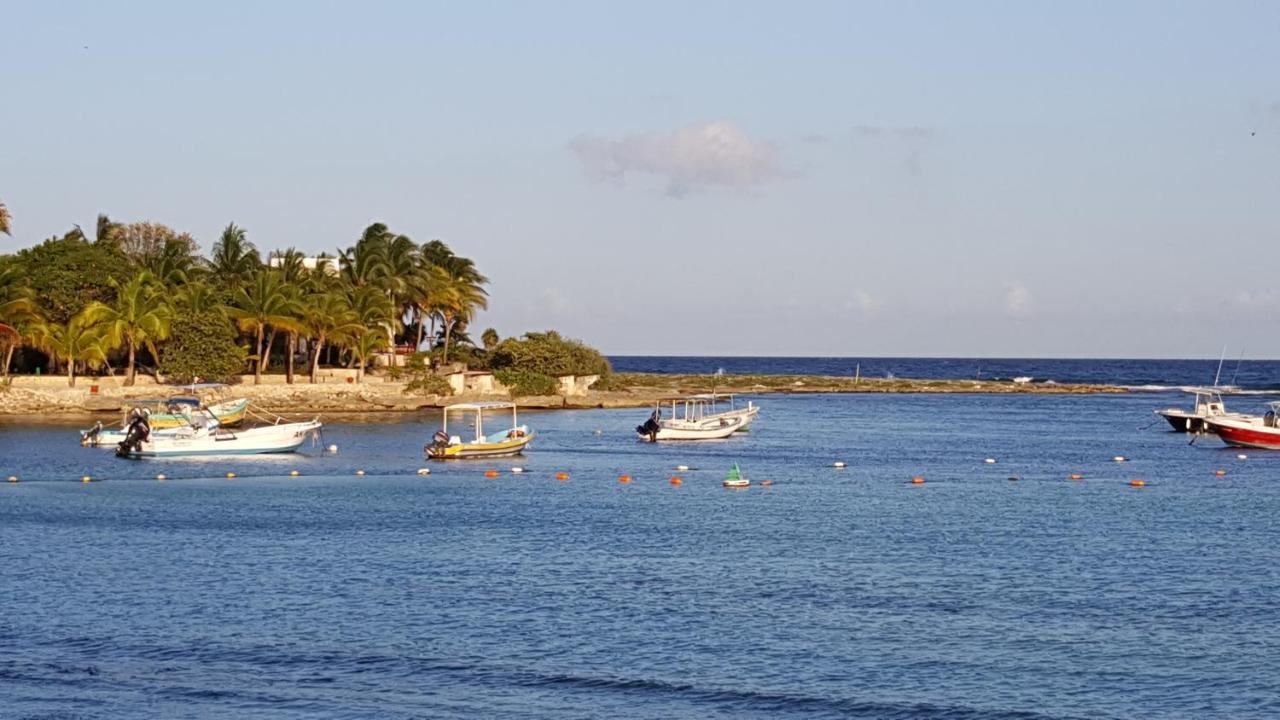 Riviera Maya Luxury Oceanfront Condo 艾库玛尔 外观 照片