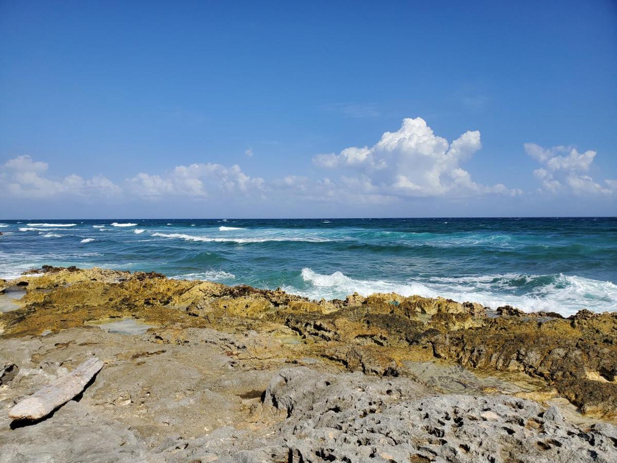 Riviera Maya Luxury Oceanfront Condo 艾库玛尔 外观 照片